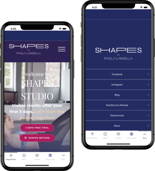 shapes-studio-496×549 shapes studio header
